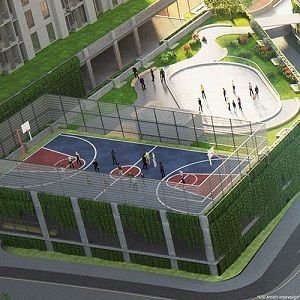 Basketball Court