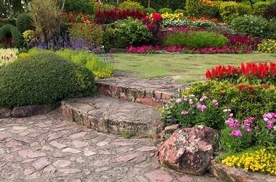 Forest-Inspired Green Spaces